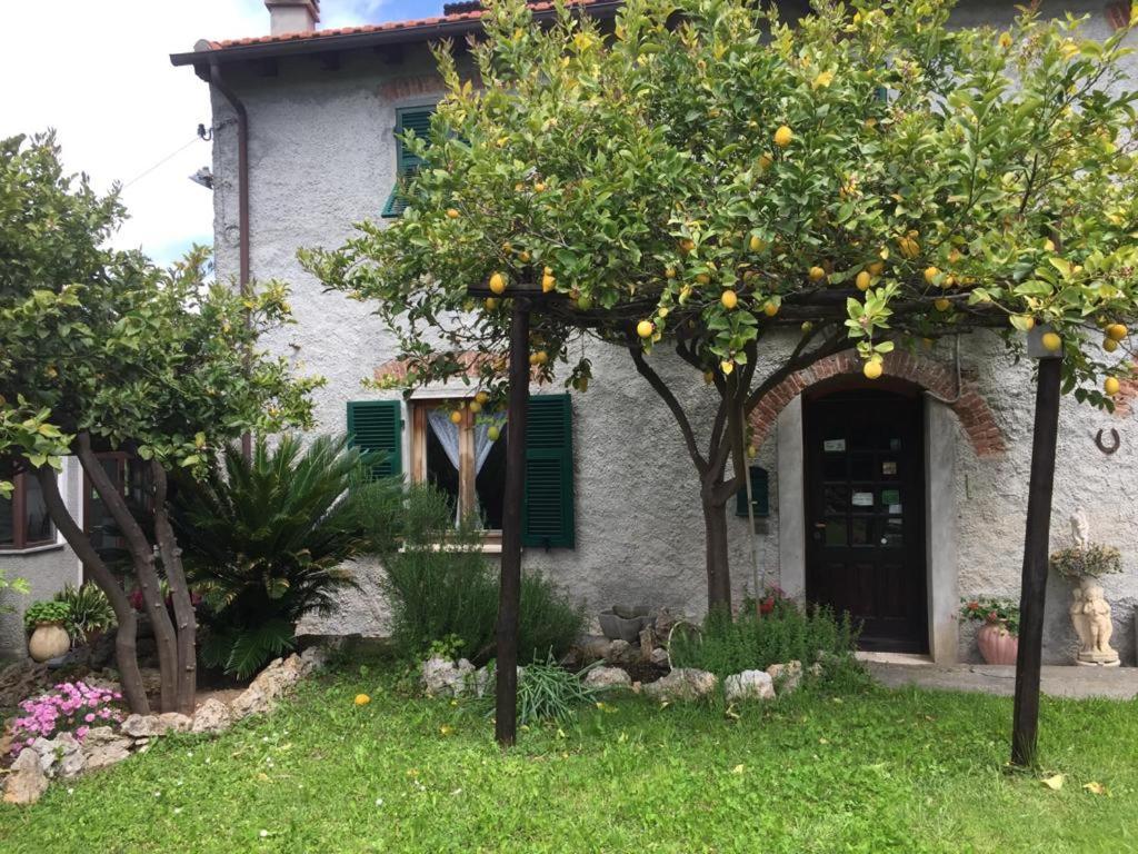 Agriturismo I Lamoi Финале Лигуре Экстерьер фото